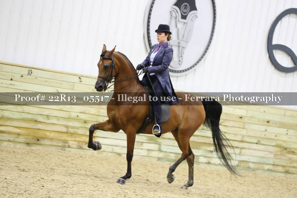 Proof 22R13_05517