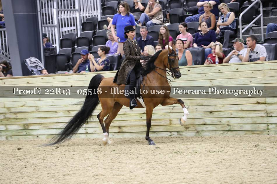 Proof 22R13_05518