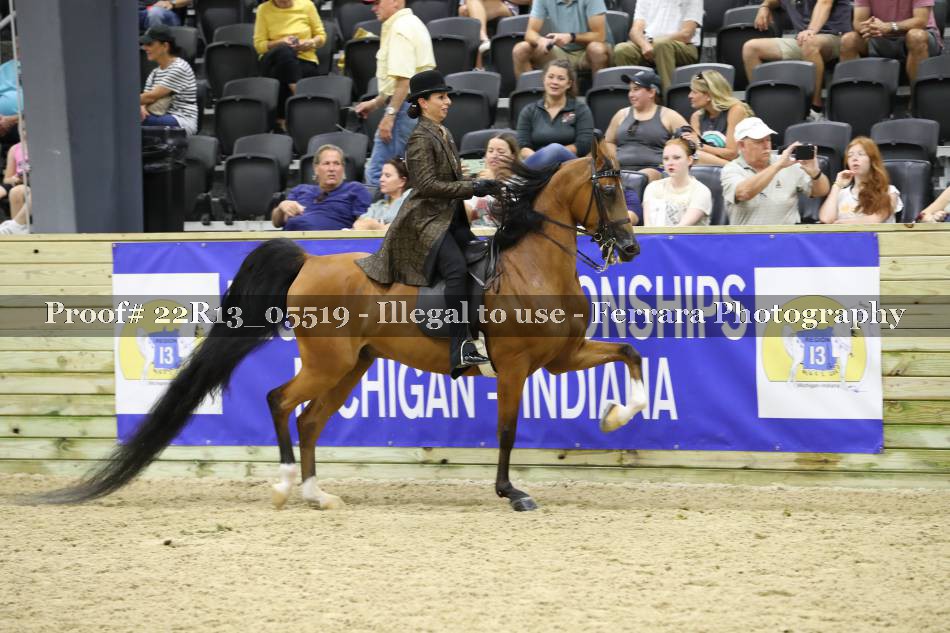 Proof 22R13_05519