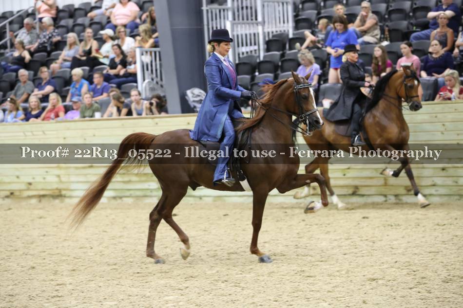 Proof 22R13_05522