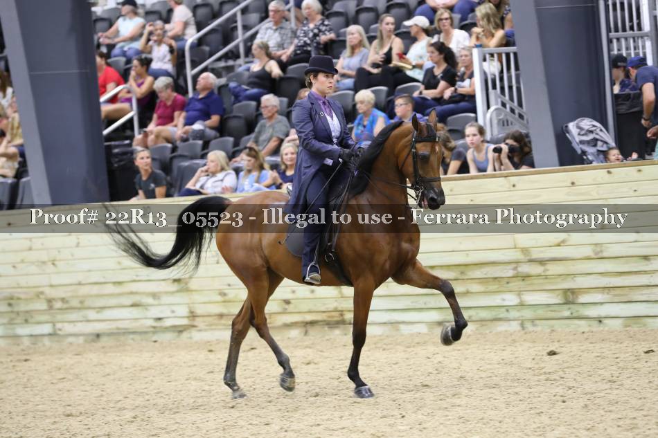 Proof 22R13_05523