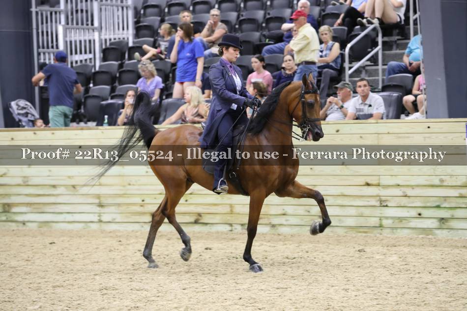 Proof 22R13_05524