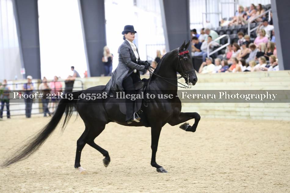 Proof 22R13_05528