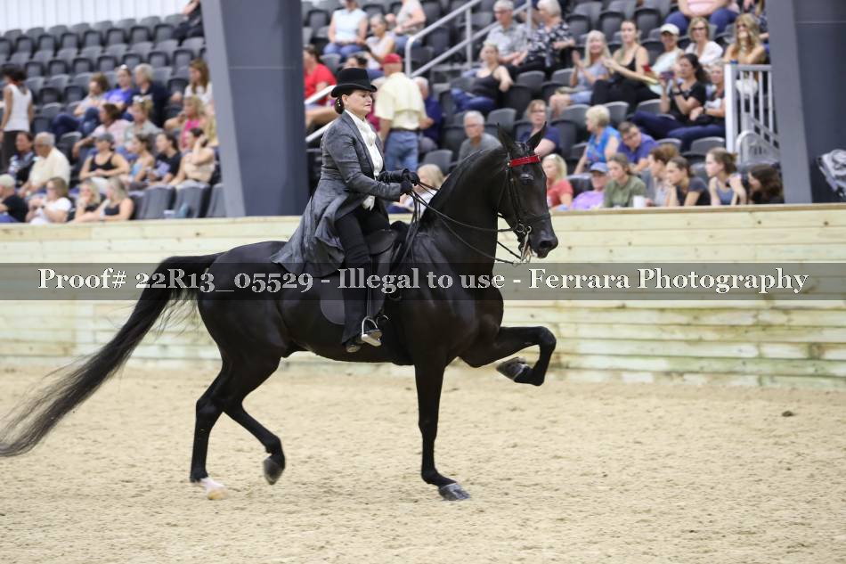 Proof 22R13_05529
