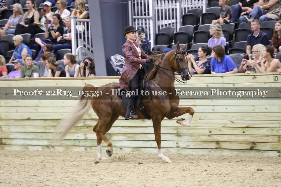 Proof 22R13_05531