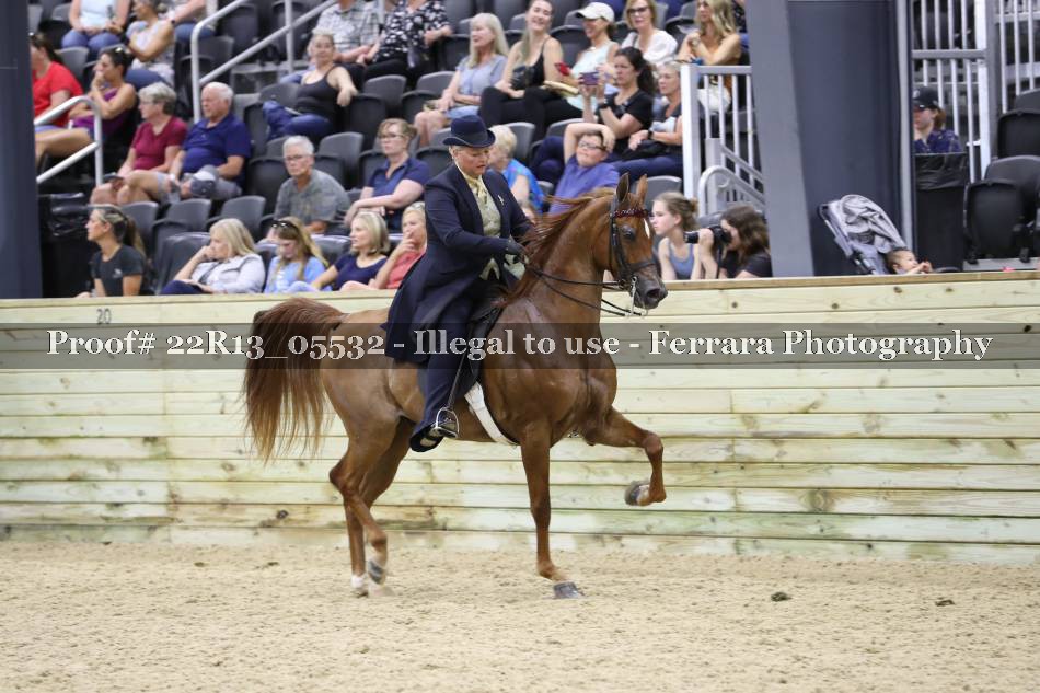Proof 22R13_05532