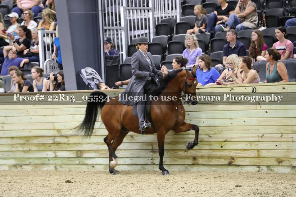 Proof 22R13_05534