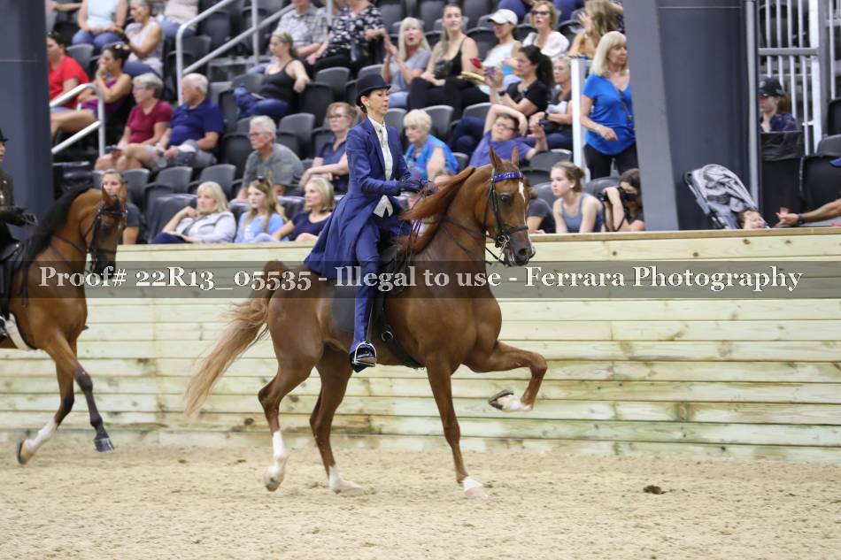 Proof 22R13_05535