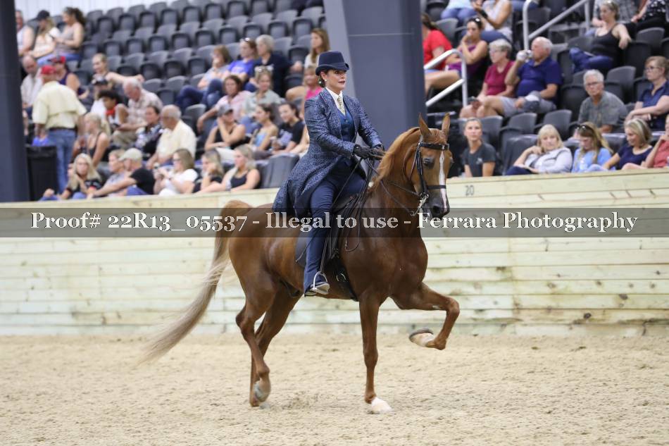 Proof 22R13_05537
