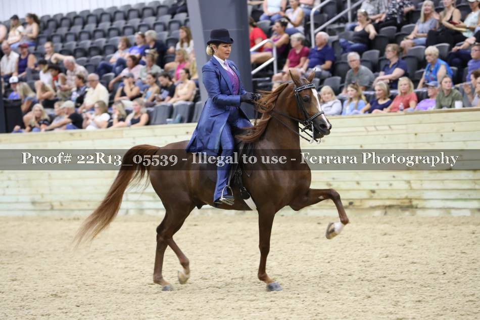 Proof 22R13_05539