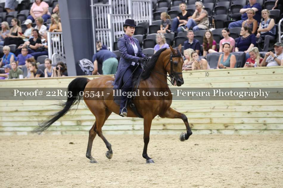 Proof 22R13_05541
