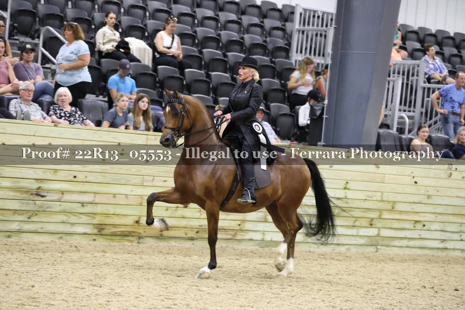Proof 22R13_05553