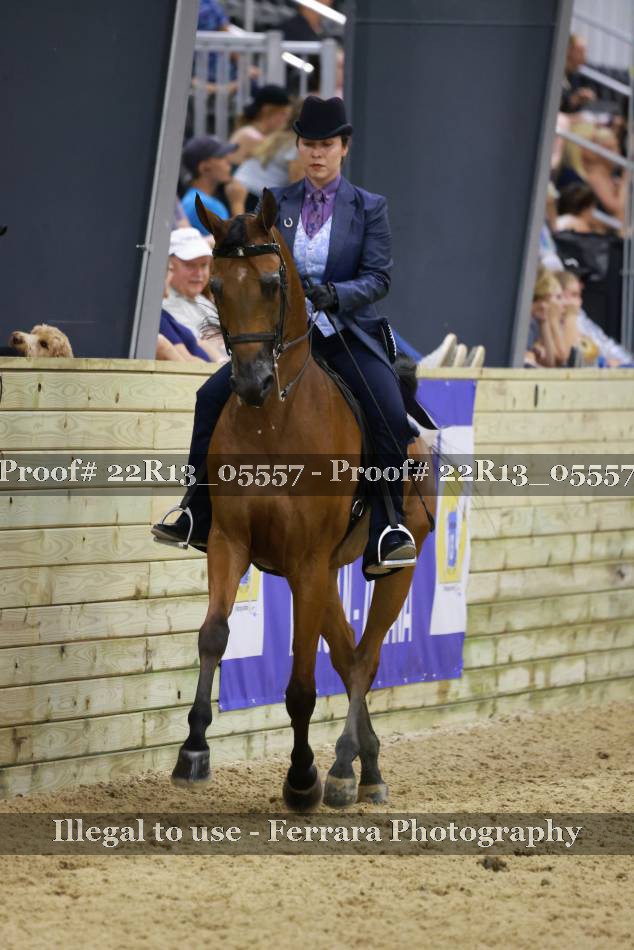 Proof 22R13_05557