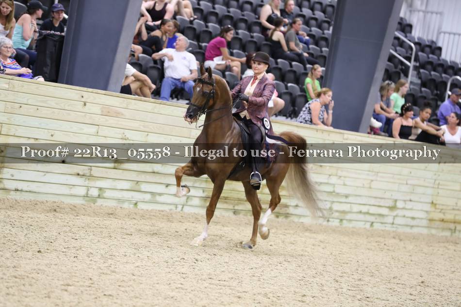 Proof 22R13_05558