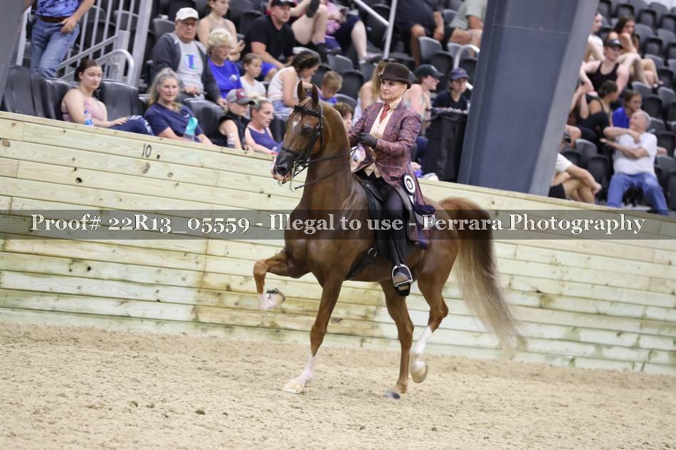 Proof 22R13_05559