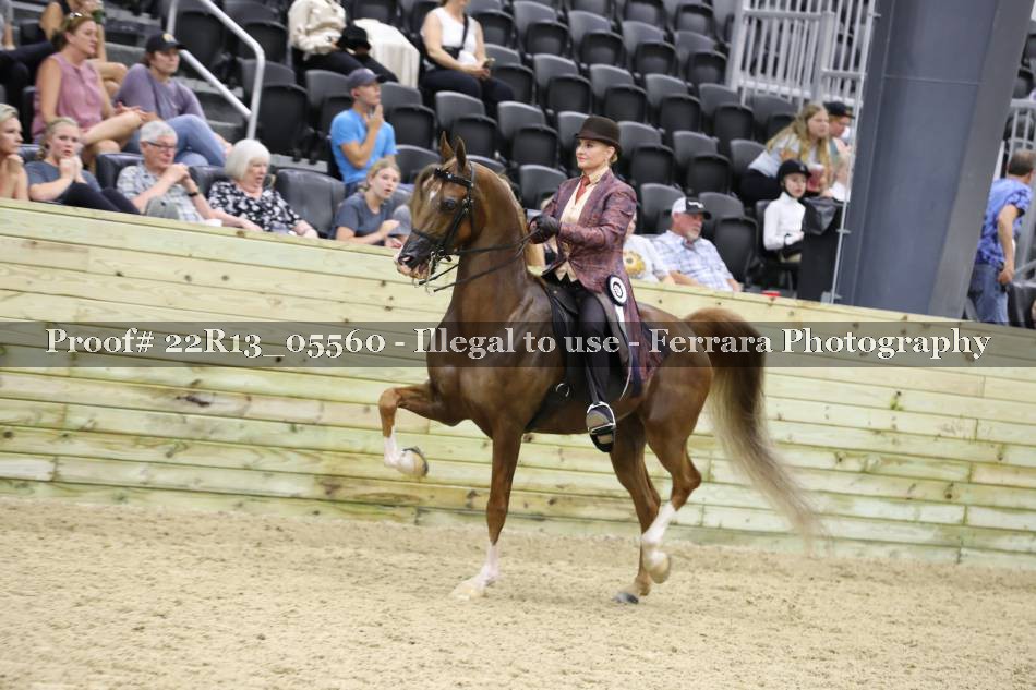 Proof 22R13_05560