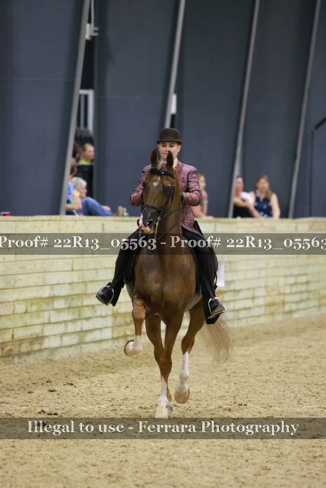 Proof 22R13_05563