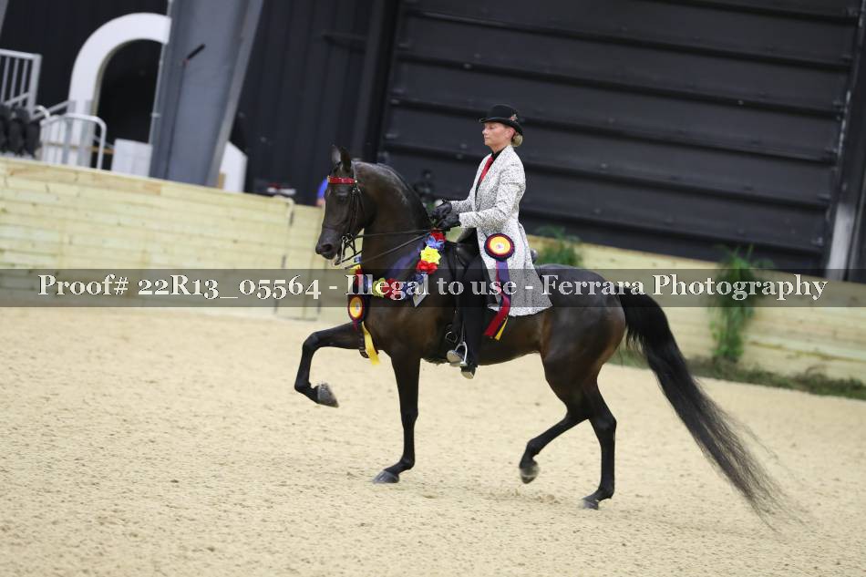 Proof 22R13_05564
