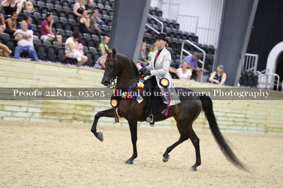 Proof 22R13_05565