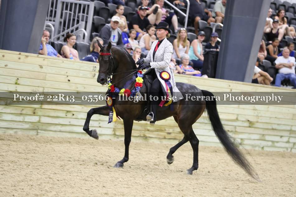 Proof 22R13_05566