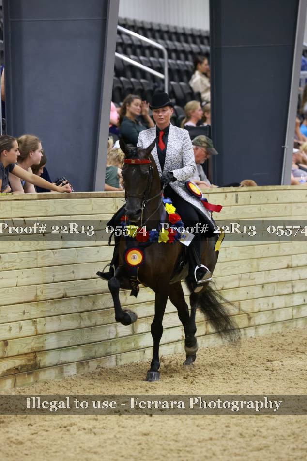 Proof 22R13_05574