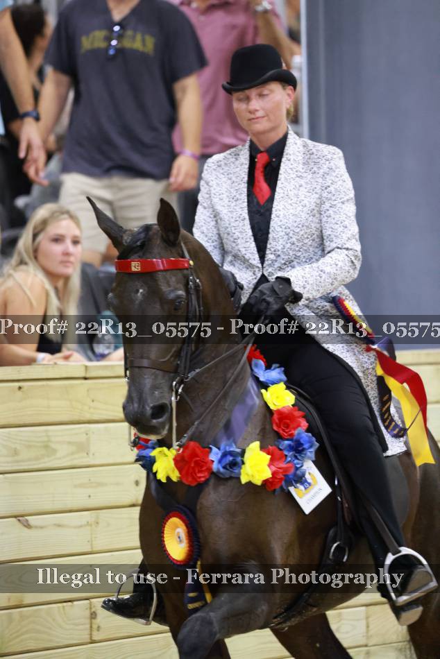 Proof 22R13_05575