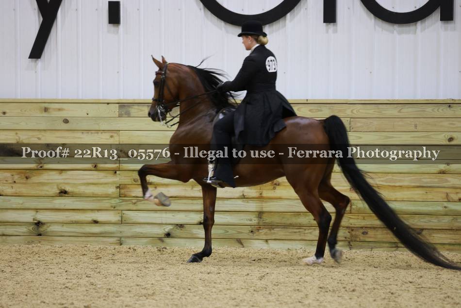 Proof 22R13_05576
