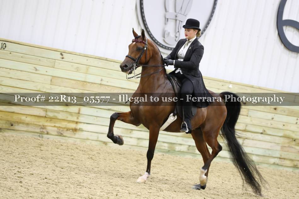 Proof 22R13_05577