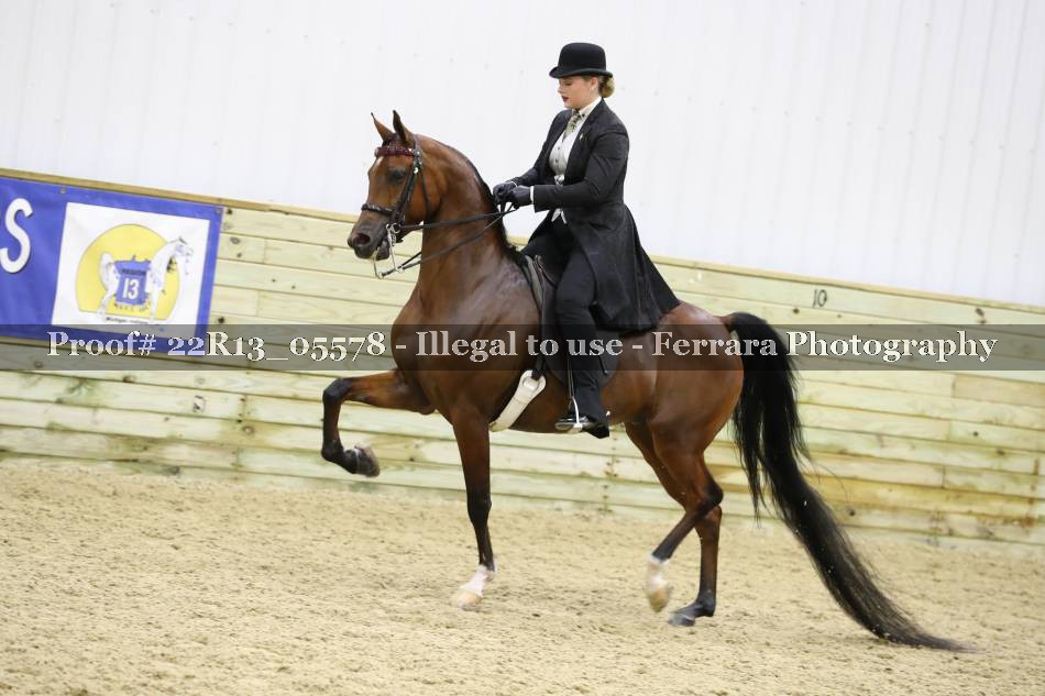Proof 22R13_05578