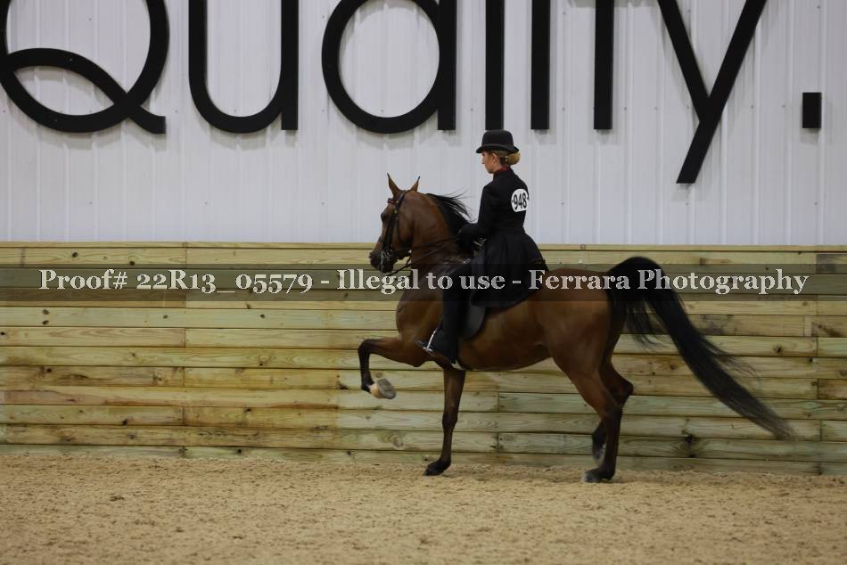 Proof 22R13_05579