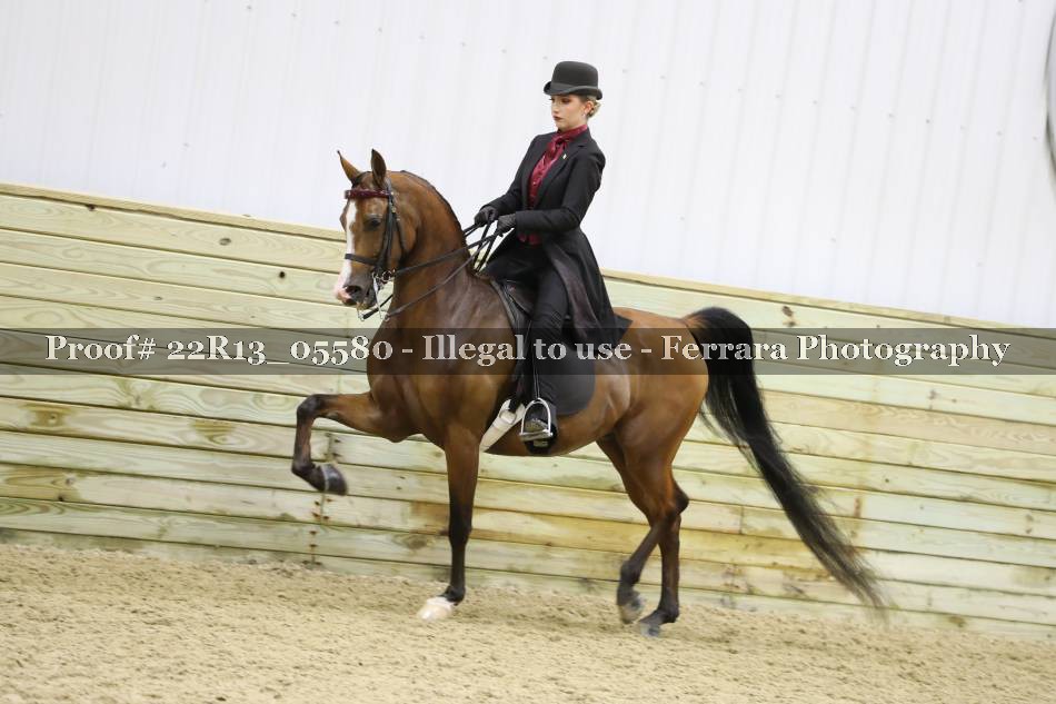 Proof 22R13_05580