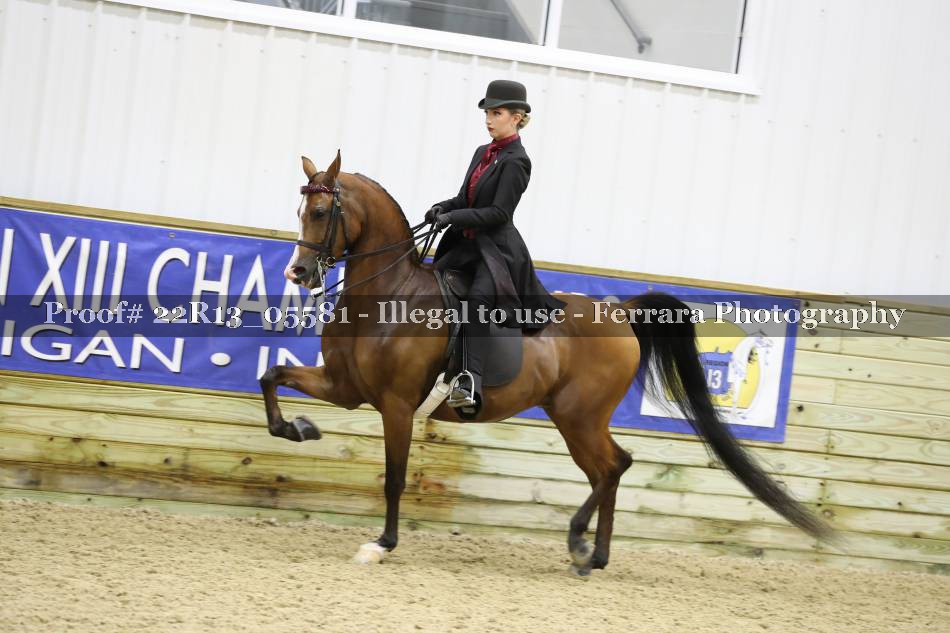Proof 22R13_05581