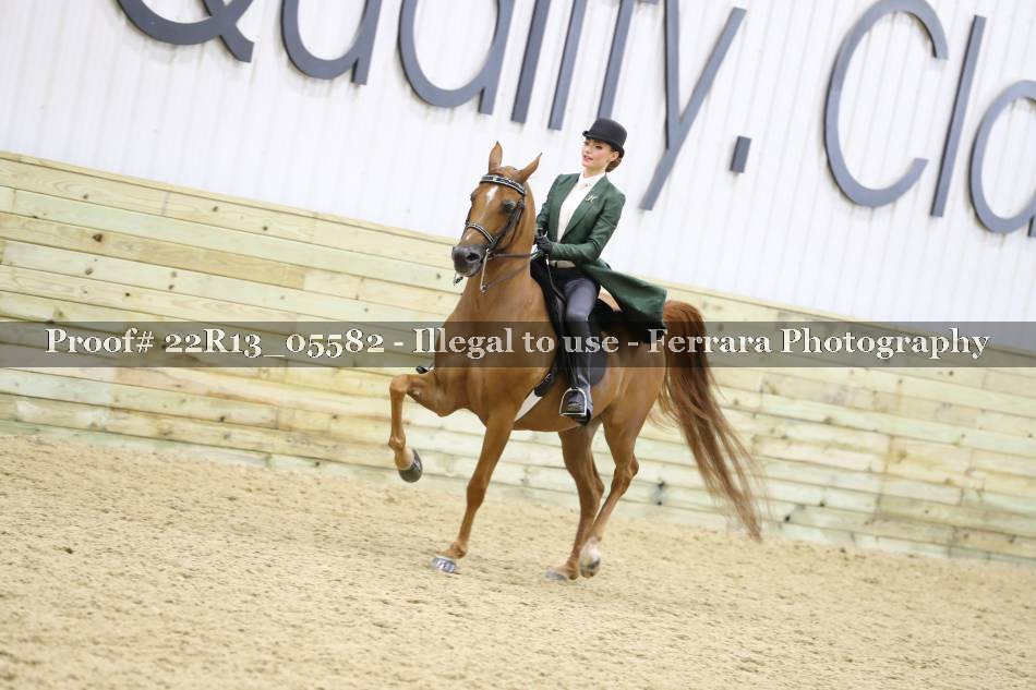 Proof 22R13_05582