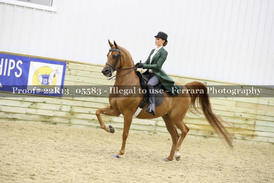 Proof 22R13_05583