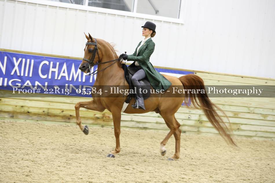 Proof 22R13_05584