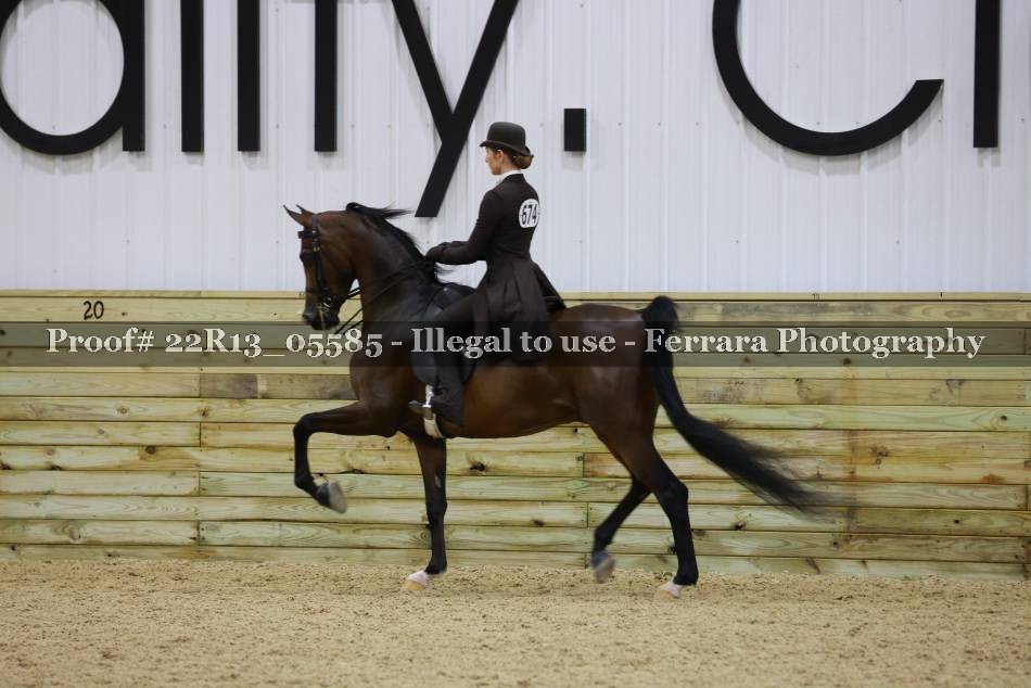 Proof 22R13_05585