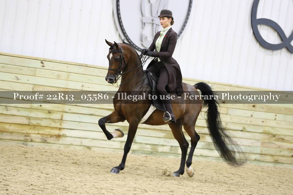 Proof 22R13_05586