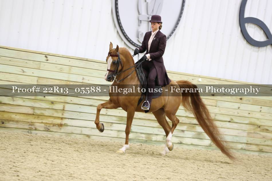 Proof 22R13_05588
