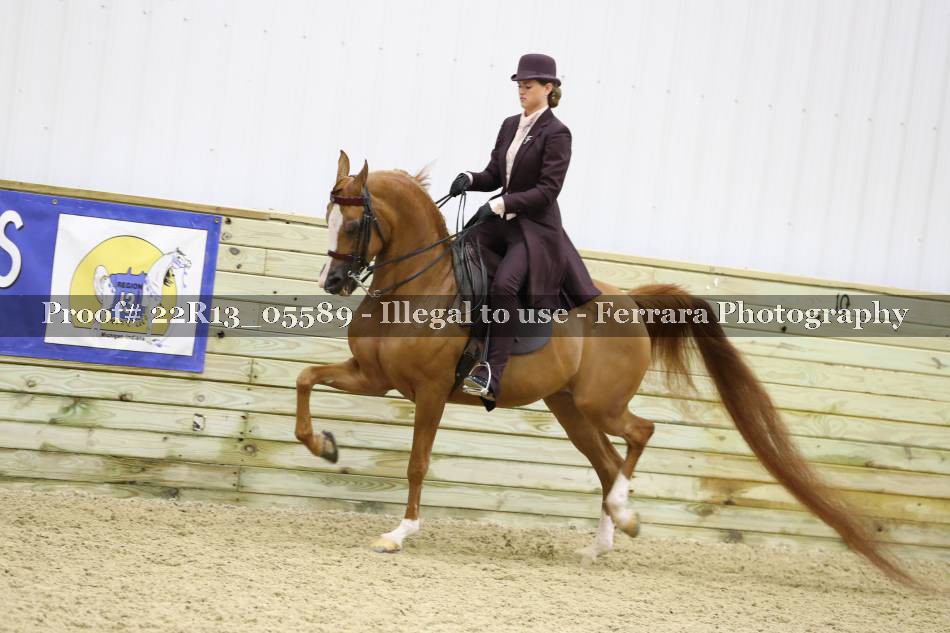Proof 22R13_05589