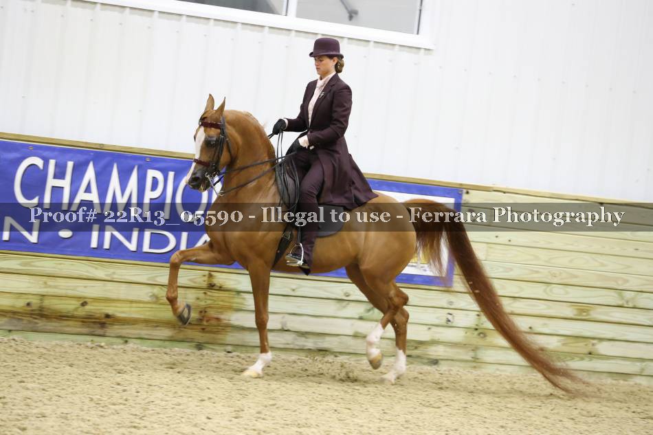 Proof 22R13_05590
