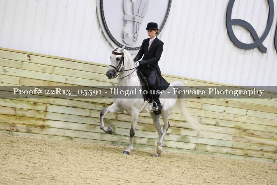 Proof 22R13_05591