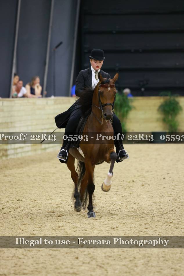 Proof 22R13_05593