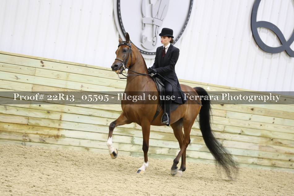 Proof 22R13_05595