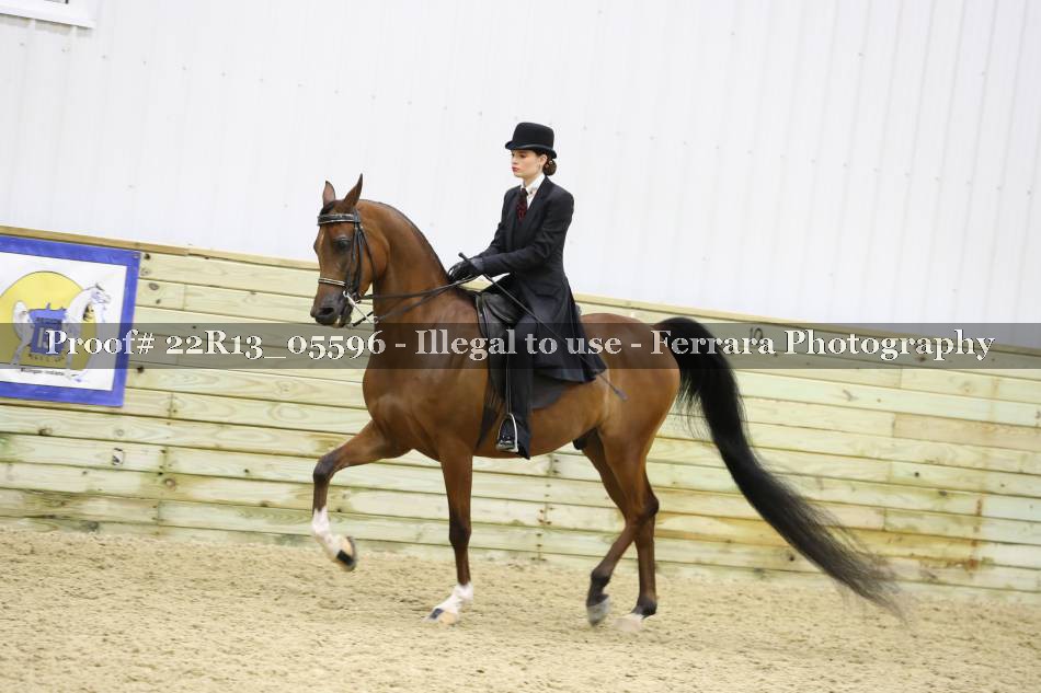 Proof 22R13_05596