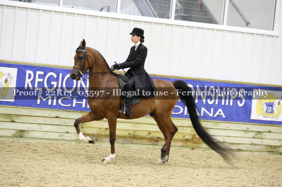 Proof 22R13_05597