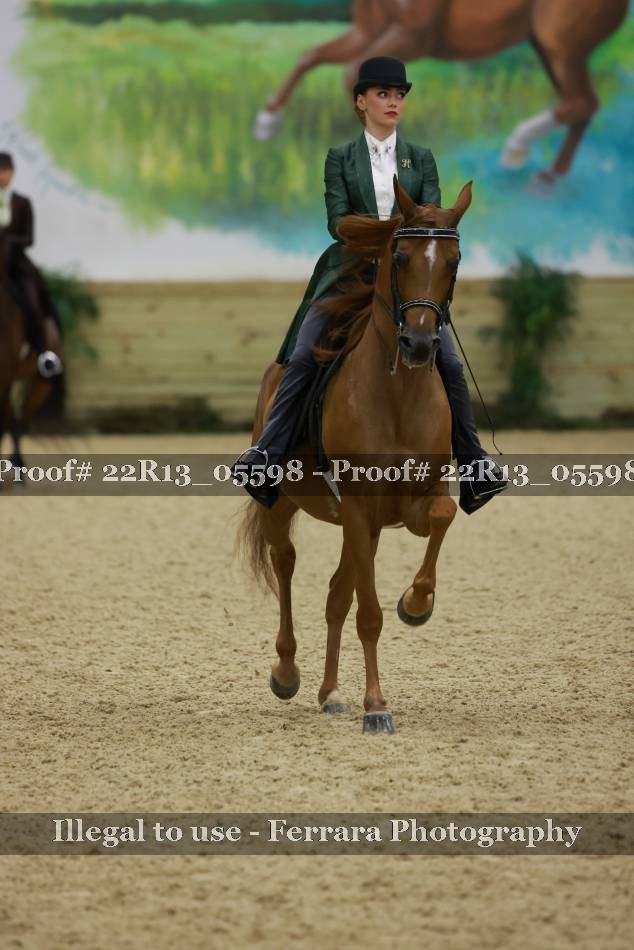 Proof 22R13_05598
