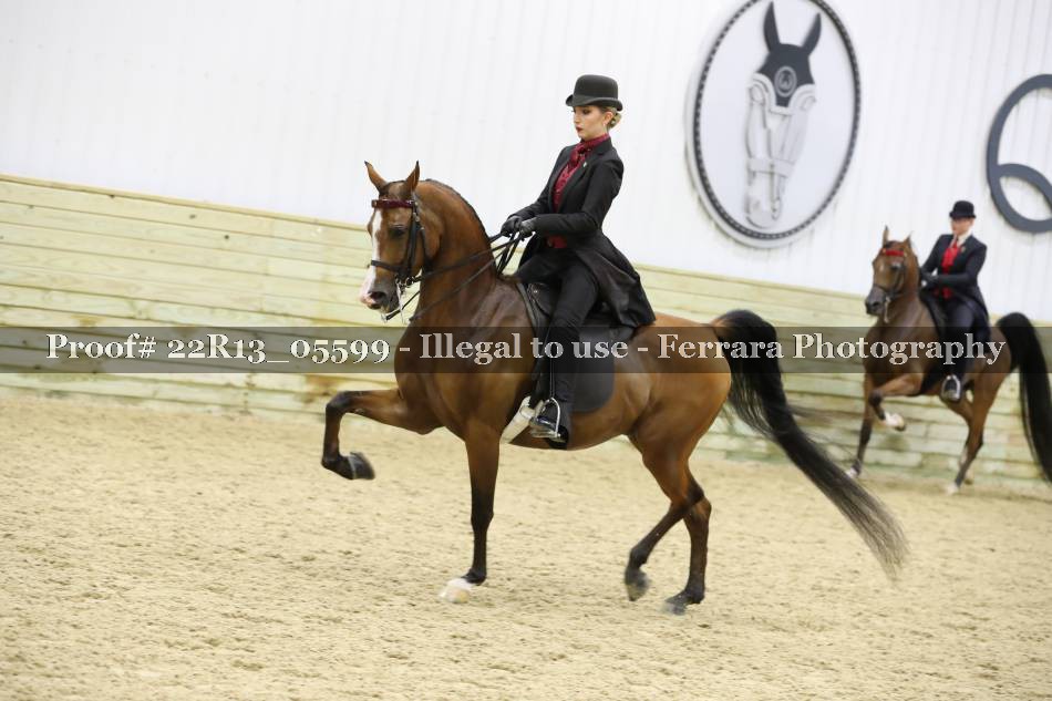 Proof 22R13_05599