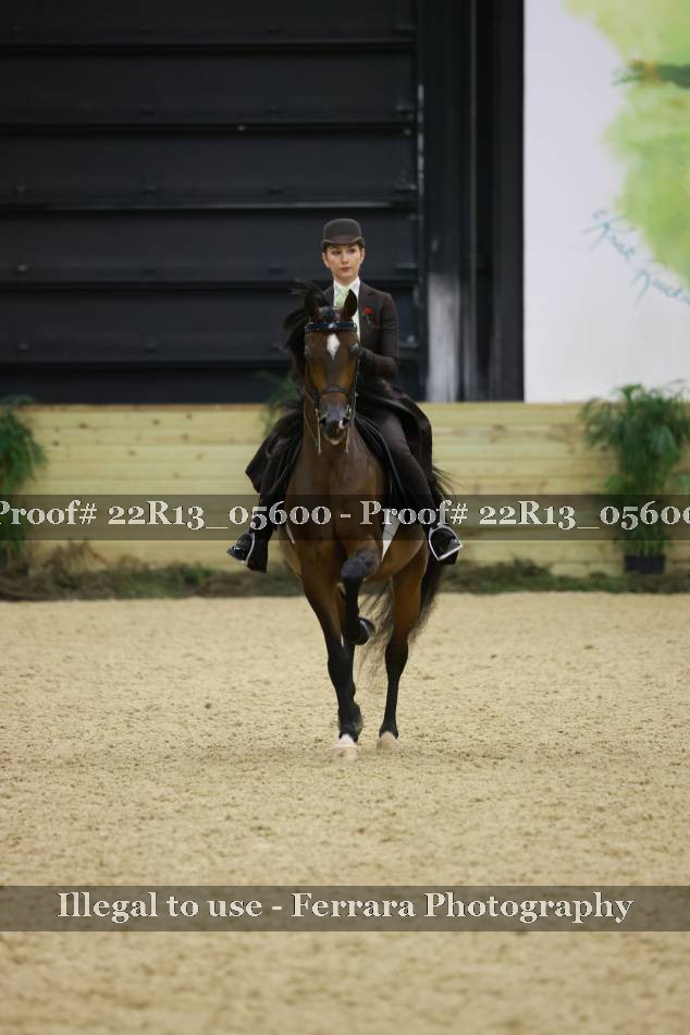 Proof 22R13_05600