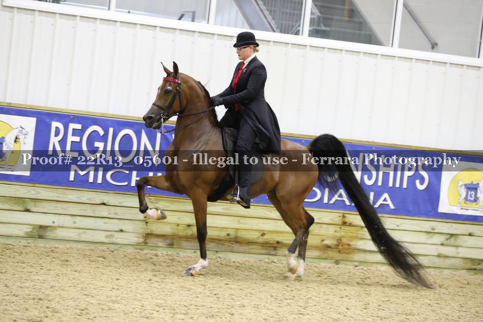 Proof 22R13_05601