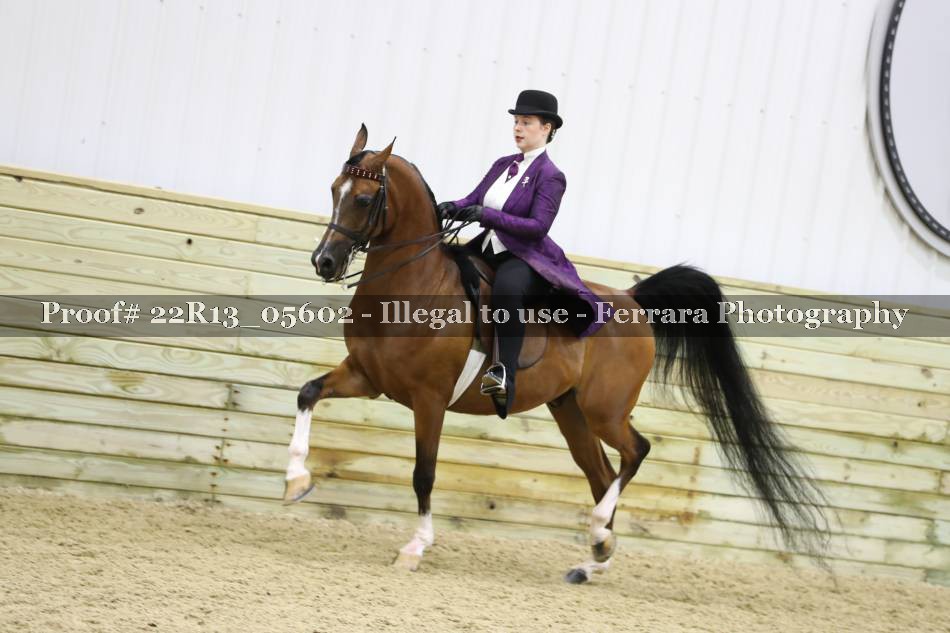 Proof 22R13_05602